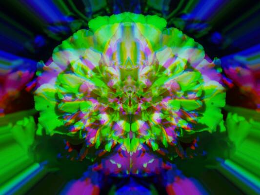 Crystal Flower Radiant Eternity