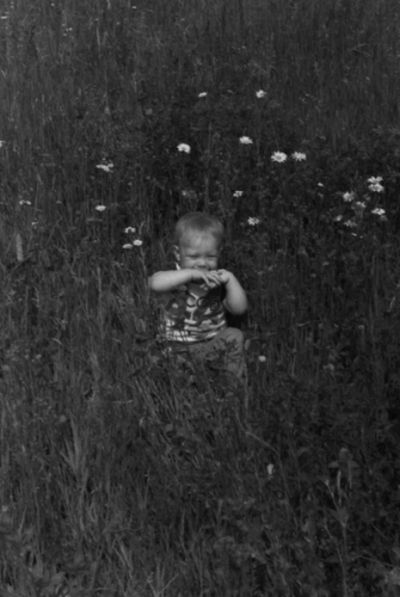 Gamaliel In Flower Field