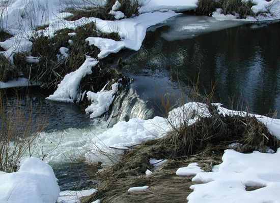 Winter Cascade